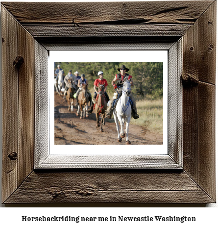 horseback riding near me in Newcastle, Washington